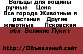 Вальцы для вощины ручные  › Цена ­ 10 000 - Все города Животные и растения » Другие животные   . Псковская обл.,Великие Луки г.